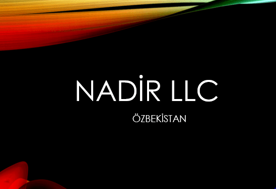 NADIR.PNG